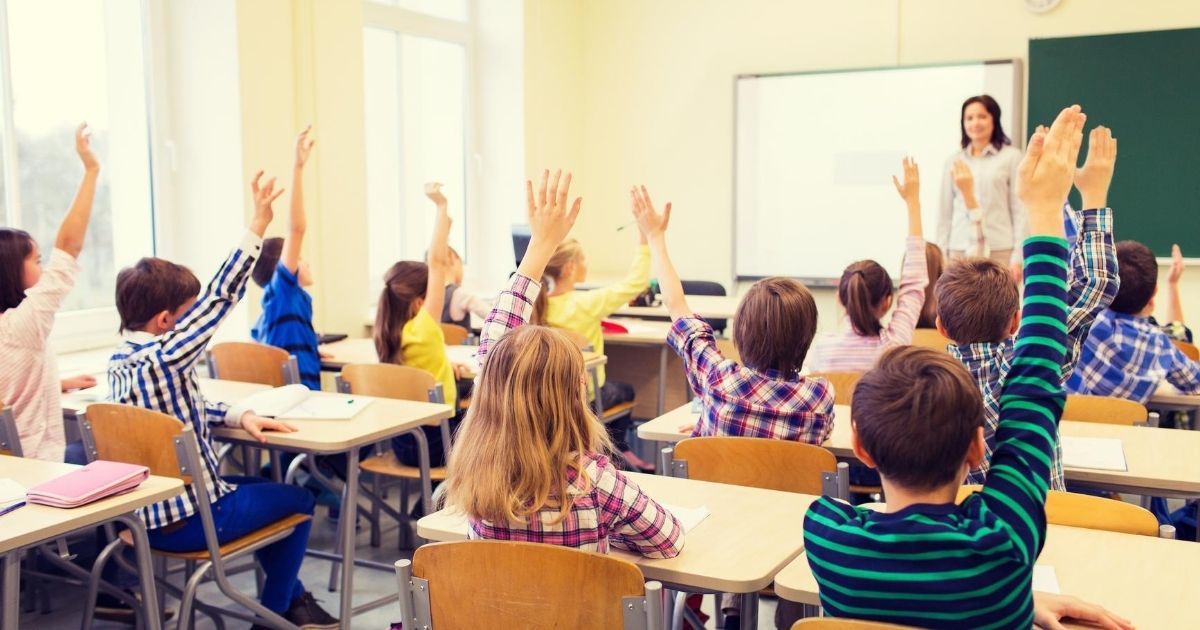 Schoolchildren raise their hands in a classroom in the stock image above.