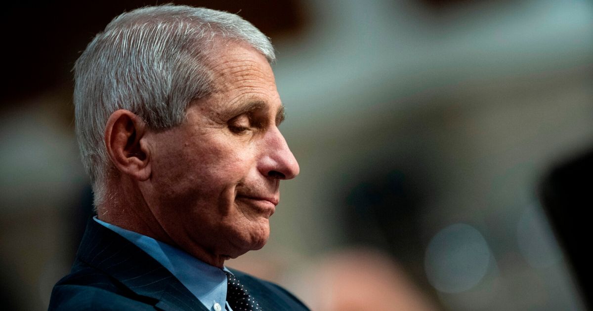 Anthony Fauci, director of the National Institute of Allergy and Infectious Diseases, speaks during a hearing in Washington, D.C., on June 30, 2020.