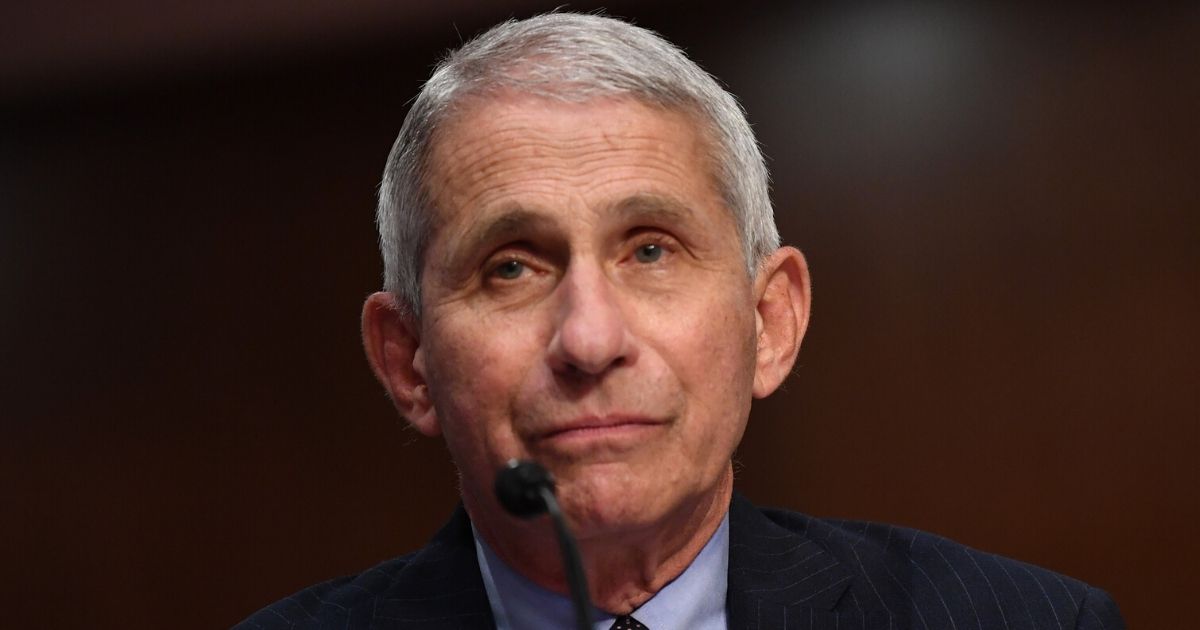 Dr. Anthony Fauci, director of the National Institute of Allergy and Infectious Diseases, testifies at a hearing of the Senate Health, Education, Labor and Pensions Committee on June 30, 2020, in Washington, D.C.