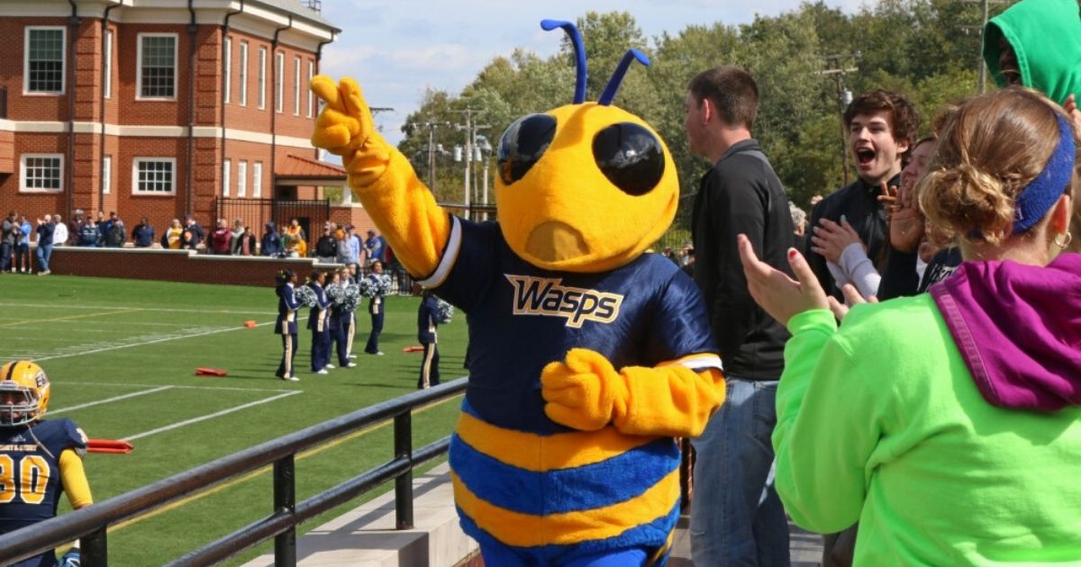 Emory & Henry's Wasp mascot cheers on the team.