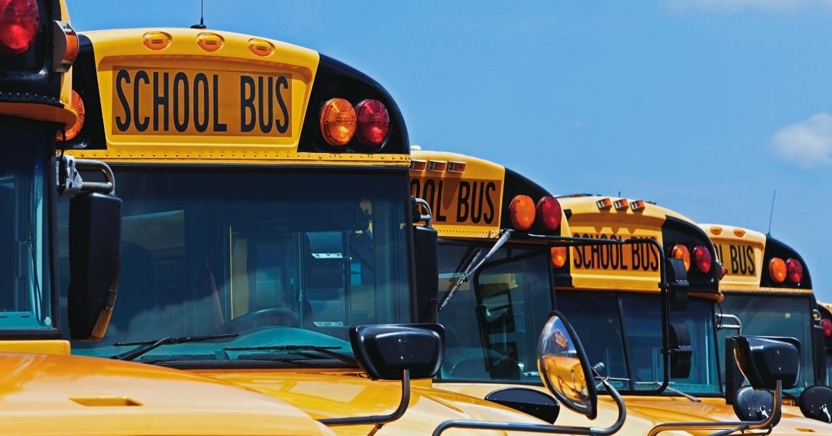 The above stock image shows a row of school buses.