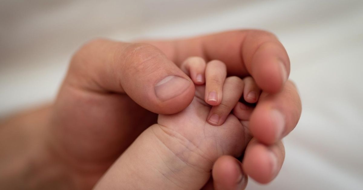 A baby holds his dad's hand in the stock image above.