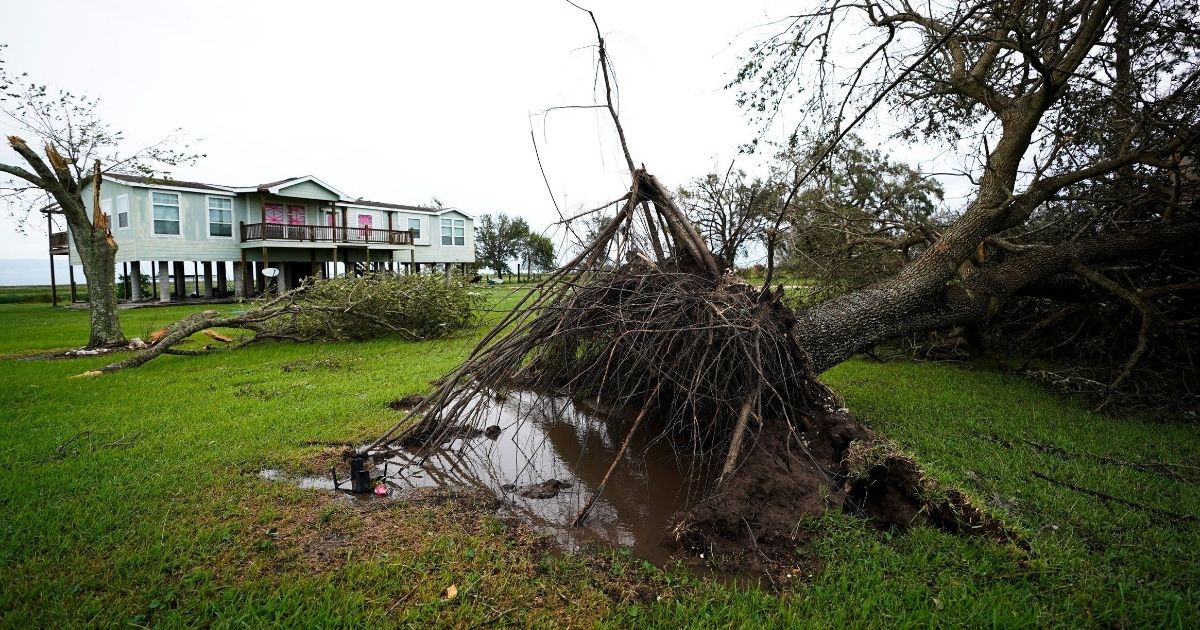 A tree is uprooted in the aftermath of Hurricane Laura on Aug. 27, 2020, in Sabine Pass, Texas.