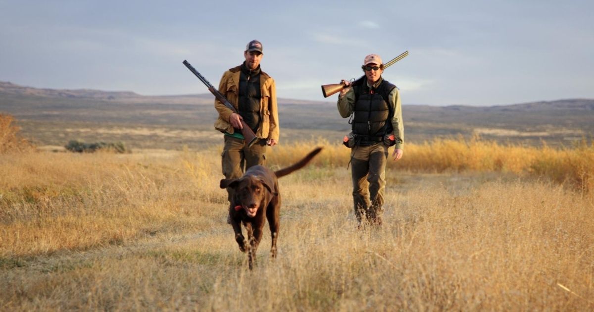 A stock image of two men hunting with a dog is pictured above.