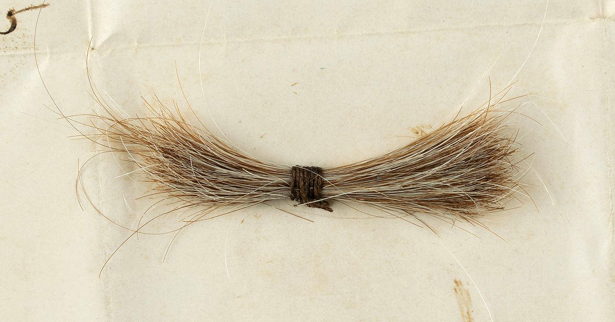 This July 2020 photo released by RR Auction shows a lock of President Abraham Lincoln's hair to be auctioned on Sept. 12, 2020, by the Boston-based auction firm. The lock of hair was removed during Lincoln's postmortem examination in April 1865 after he was fatally shot by John Wilkes Booth at Ford's Theatre in Washington, D.C.