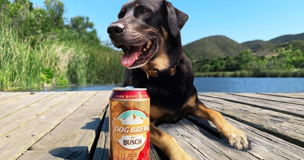 With more humans opting for the company of man's best friend during the coronavirus pandemic, Busch has launched an all-natural "beer" for dogs.