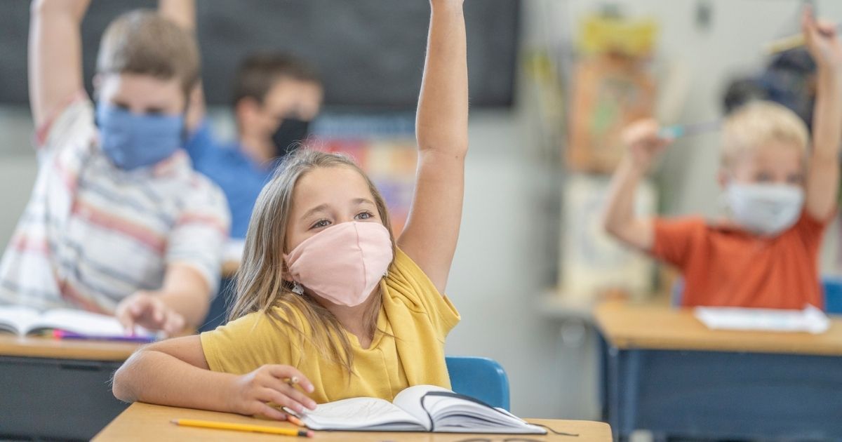 Children in a classroom raise their hands in the stock image above.