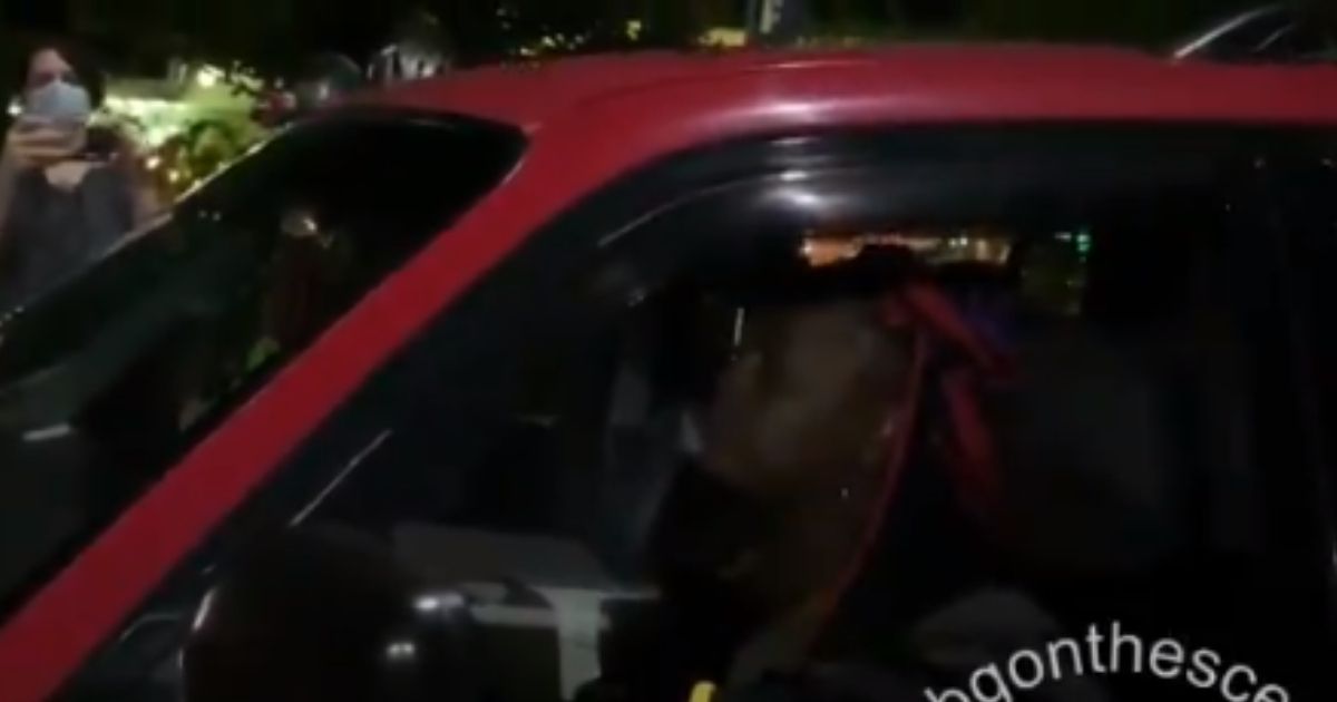 Video: Black Female Driver Blasts White Rioters in Portland, Flips Media's Race Narrative