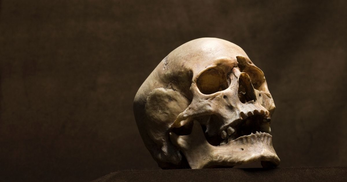 A stock photo of a human skull is seen above.