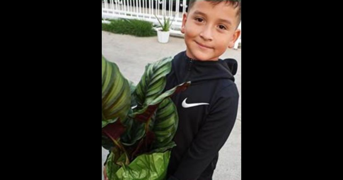 Aaron Moreno, 8, started a thriving plant business with just $12 and determination.