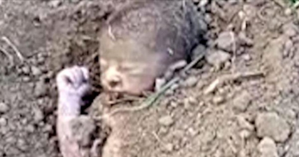 Worker Spots Face Sticking Out from Ground, Finds Baby Buried Alive in