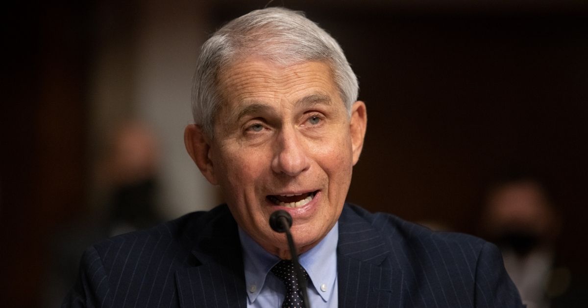 Anthony Fauci, director of National Institute of Allergy and Infectious Diseases at NIH, testifies at a Senate Health, Education, and Labor and Pensions Committee on Capitol Hill, on Sept. 23, in Washington, D.C.
