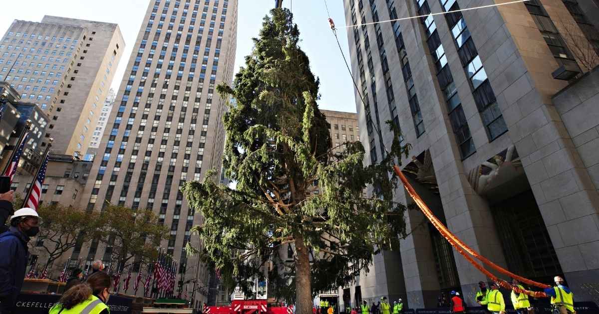 The Rockefeller Center Christmas Tree arrives at Rockefeller Plaza and is craned into place on Saturday in New York City.
