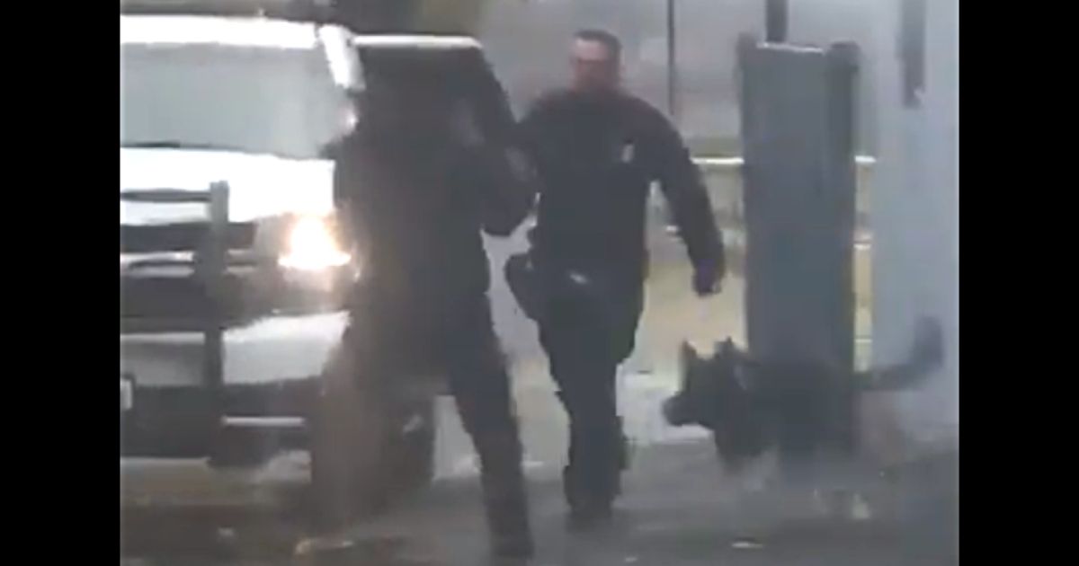 A K-9 officer and his handler engage a suspect in Newburgh, New York in November 2019.