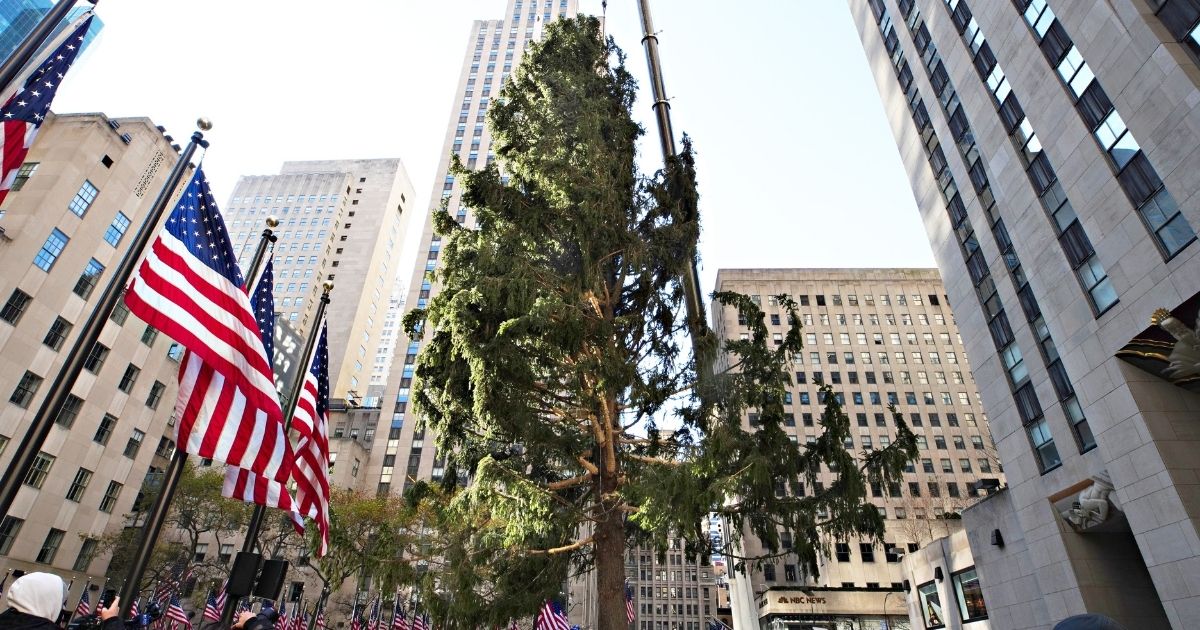 The Rockefeller Center Christmas Tree is craned into place at Rockefeller Plaza in New York City on Nov. 14, 2020.