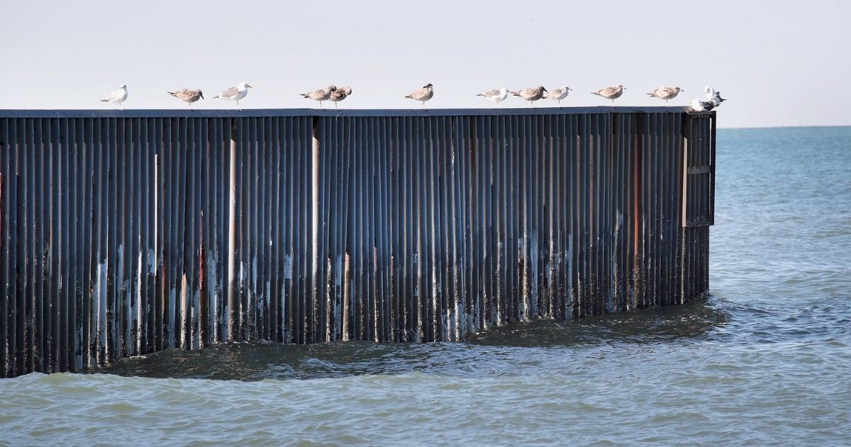 Birds sit on top of the fence that separates the United States and Mexico where the border between the two countries meets the Pacific Ocean at Border Field State Park on Jan. 23, 2019, in San Diego.
