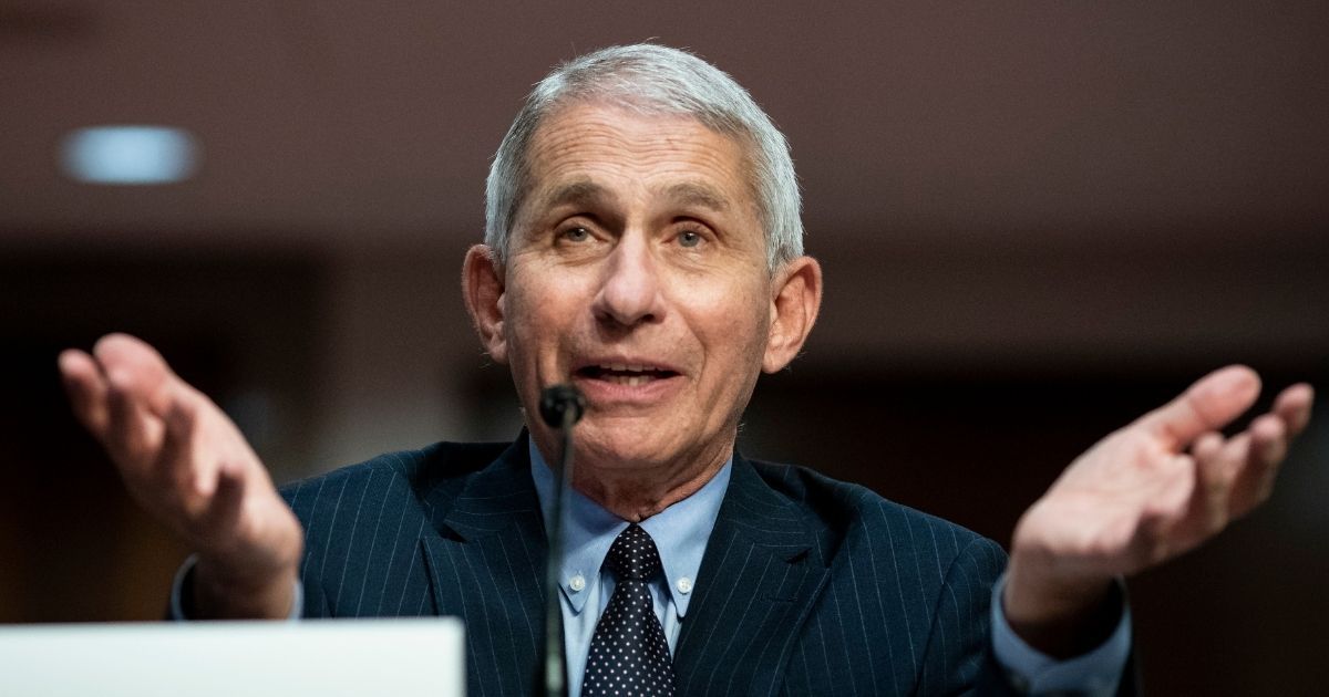 Dr. Anthony Fauci, director of the National Institute of Allergy and Infectious Diseases, speaks during a Senate Health, Education, Labor and Pensions Committee hearing in Washington on June 30.