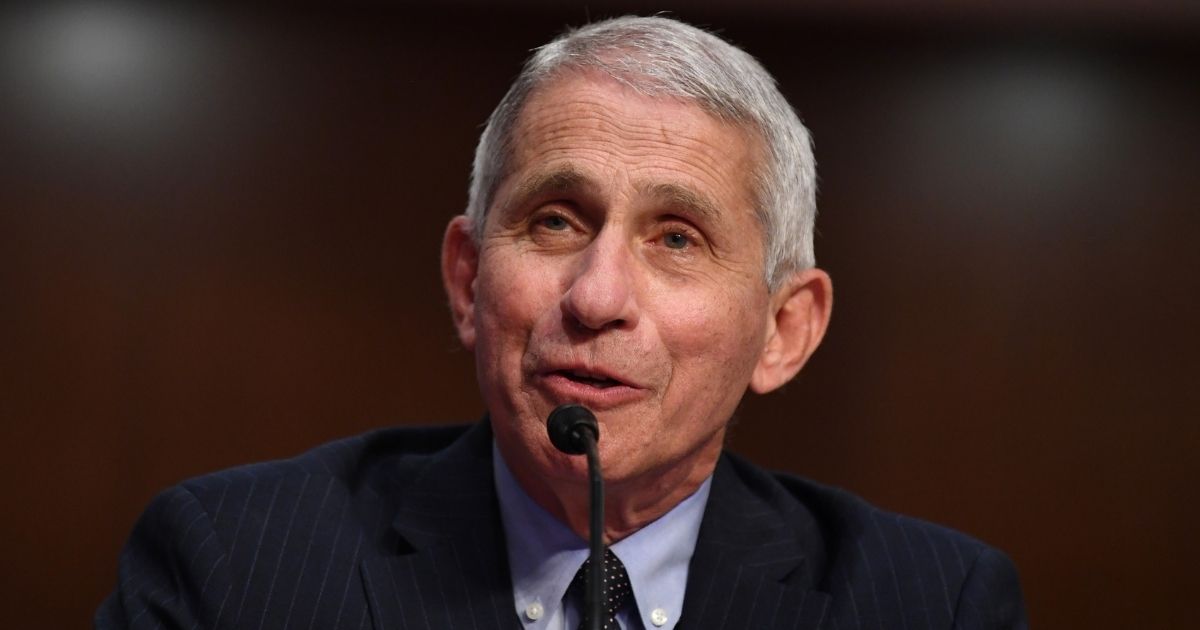 Dr. Anthony Fauci, director of the National Institute for Allergy and Infectious Diseases, testifies before the Senate Health, Education, Labor and Pensions Committee on Capitol Hill in Washington on June 30.