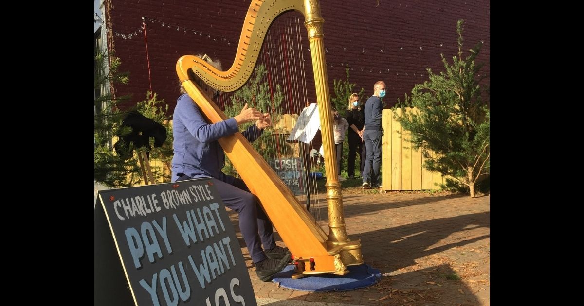 Mary Jane D'Arville plays the harp next to Frank Pichel's Christmas tree lot in Richmond, Virginia.
