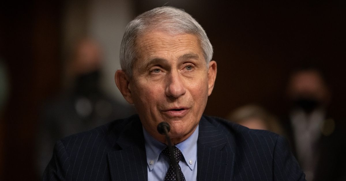 Dr, Anthony Fauci, director of National Institute of Allergy and Infectious Diseases at NIH, testifies before a Senate committee in September.