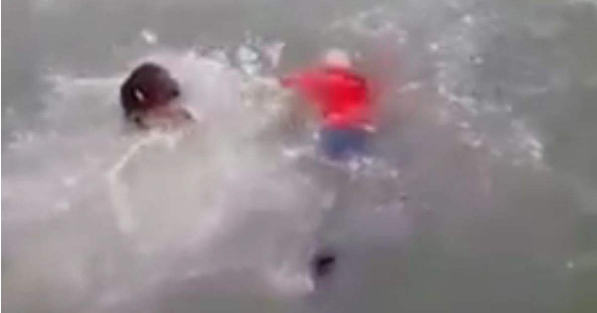 José Brito from Portugal rescues an older gentleman who fell into the river and was floating face-down.