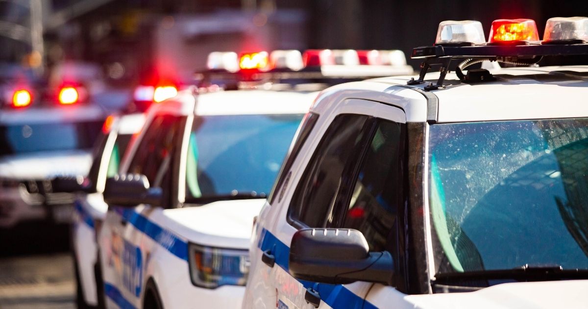 New York Police Department vehicles are seen in the above stock image.