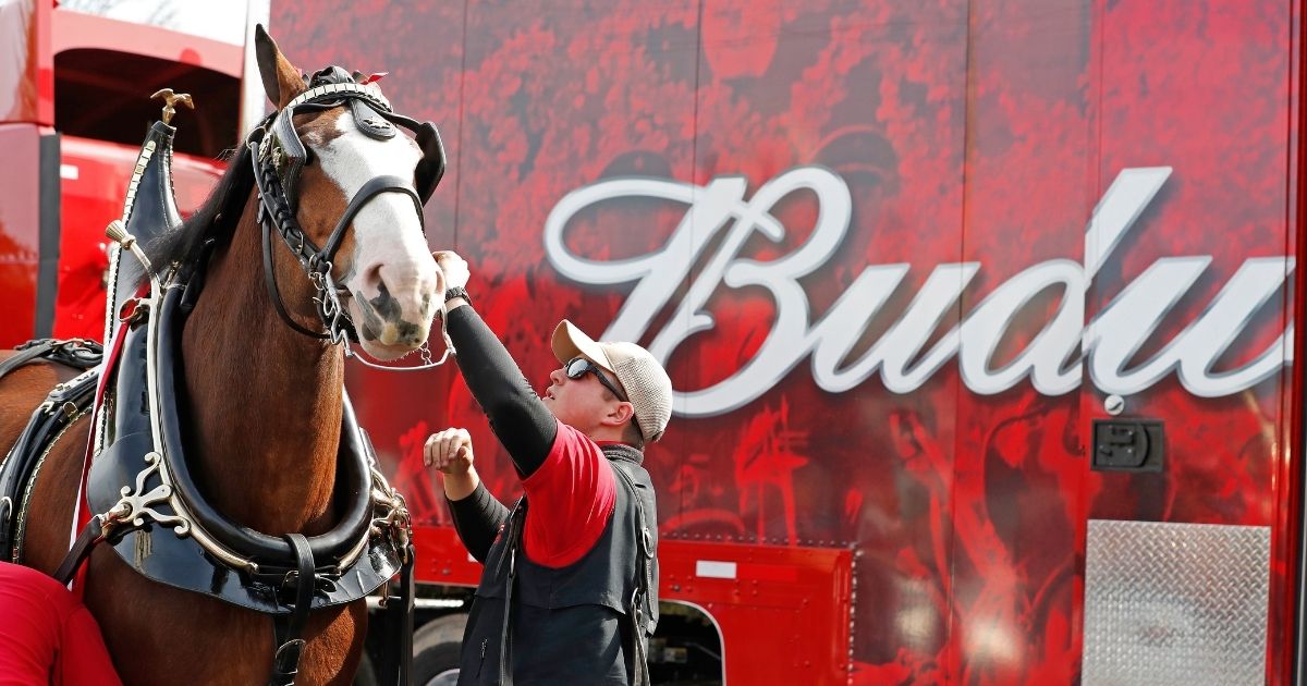 The iconic Budweiser Clydesdales kick off the weekend of Super Bowl LIII in Atlanta on Feb. 1, 2019.