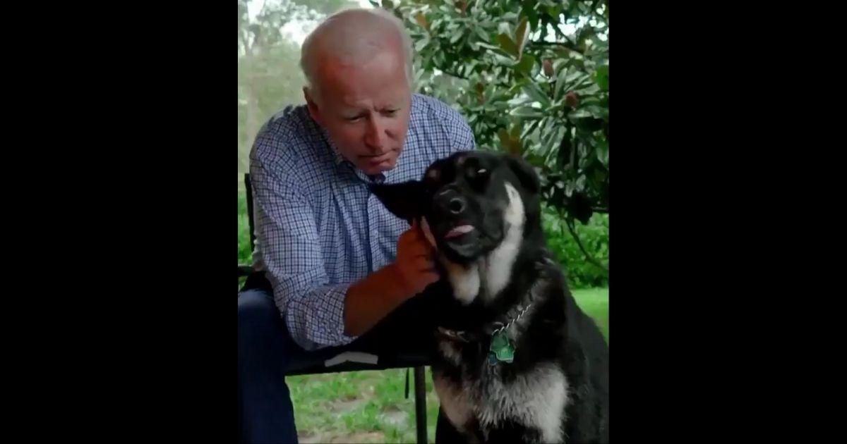 After neglecting to cover Hunter Biden news scoops, claiming reporting on such stories would be a 'distraction,' National Public Radio publishes a news story about Joe Biden's dog.