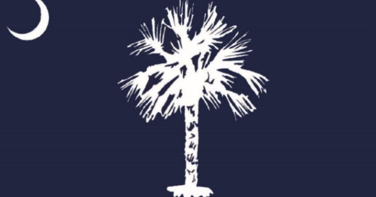 South Carolina proposed flag.