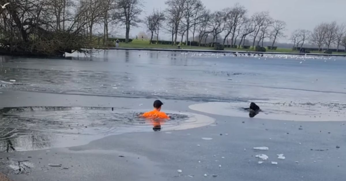 Darcy Pell swims out in a frozen lake to rescue a dog who fell through the ice.
