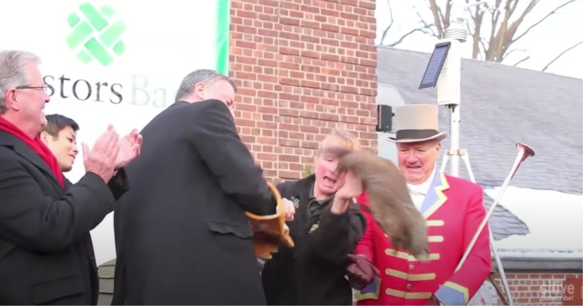 Staten Island Chuck leaps from the arms of New York Mayor Bill de Blasio in 2014.