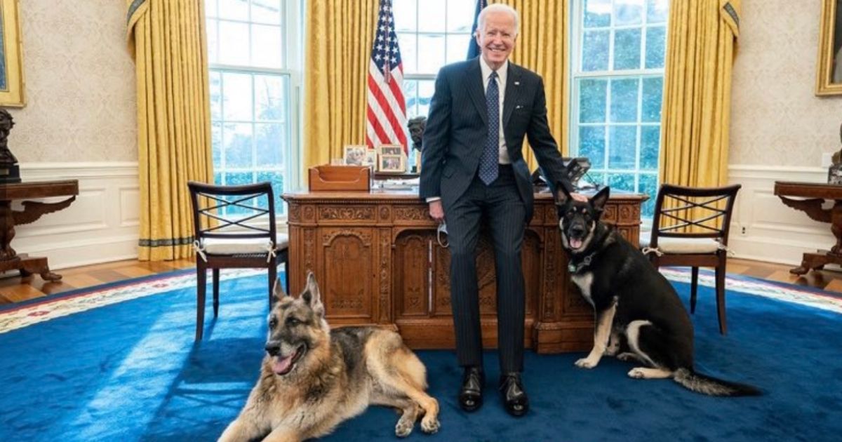 President Joe Biden’s two dogs were sent back to his private residence in Delaware after they were reportedly aggressive and one of them, an adopted German shepherd named Major, bit a member of White House security.