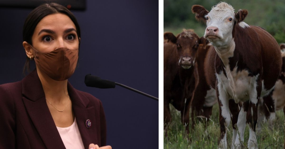 U.S. Rep. Alexandria Ocasio-Cortez has pleaded for legislators to 'set a goal to get to net-zero [carbon emissions], rather than zero emissions, in 10 years because we aren’t sure that we’ll be able to fully get rid of farting cows and airplanes that fast.'