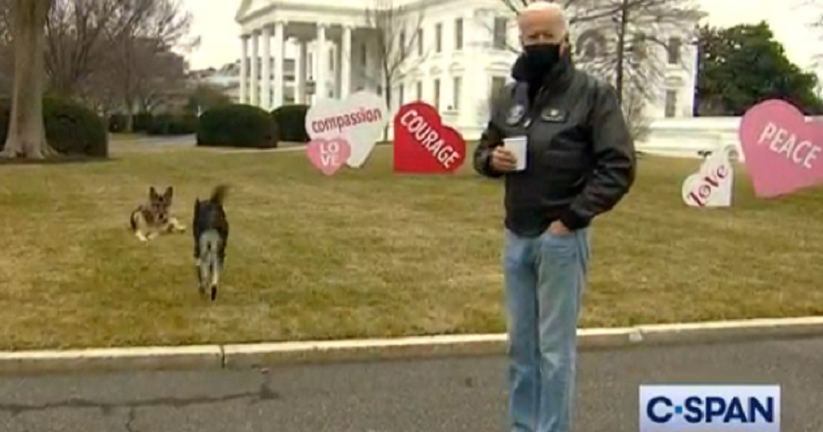 President Joe Biden with his two dogs on the White House lawn on Valentine's Day.