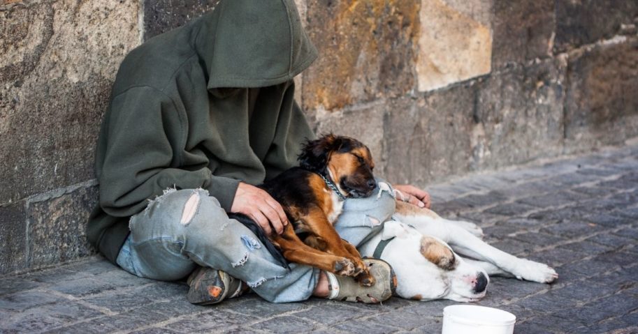 A homeless man with two dogs is pictured above.