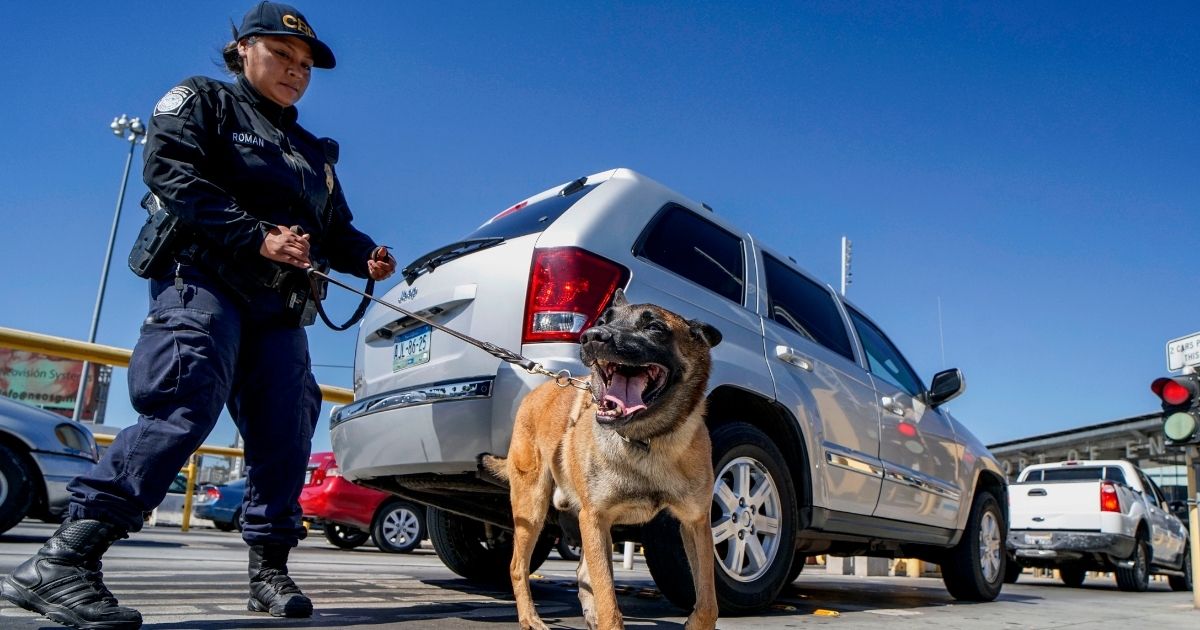 An Immigration and Customs Enforcement K-9 agent checks automobiles for contraband in the line to enter the United States at the San Ysidro Port of Entry on Oct. 2, 2019, in San Ysidro, California.