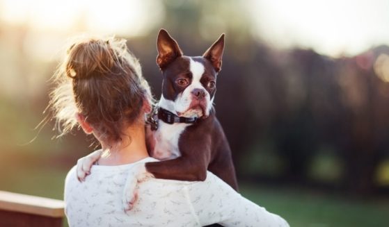 The above stock photo shows a girl and her dog.