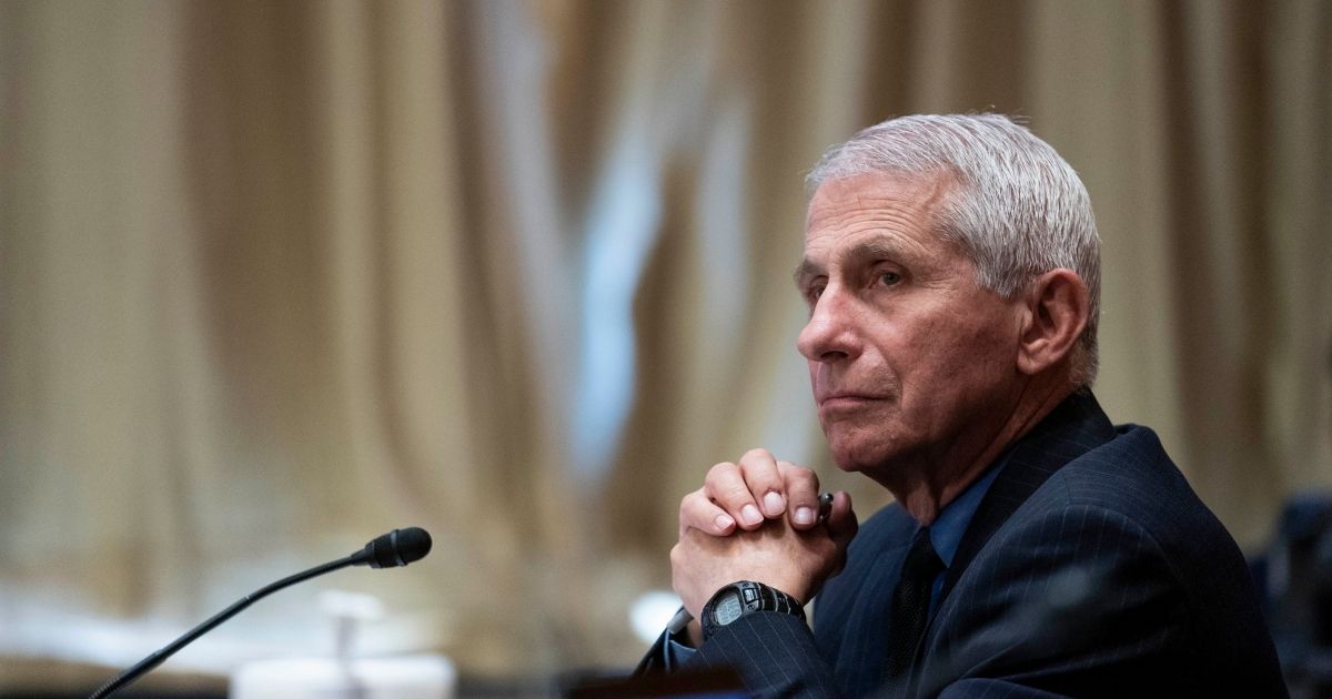 Dr. Anthony Fauci, director of the National Institute of Allergy and Infectious Diseases, listens during a Senate Appropriations Labor, Health and Human Services Subcommittee hearing looking into the budget estimates for National Institute of Health and state of medical research on Capitol Hill on Wednesday in Washington, D.C.