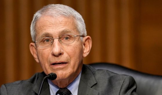 Dr. Anthony Fauci, director of the National Institute of Allergy and Infectious Diseases, speaks during a Senate Health, Education, Labor and Pensions Committee hearing to discuss the ongoing federal response to COVID-19 on May 11 in Washington, D.C.