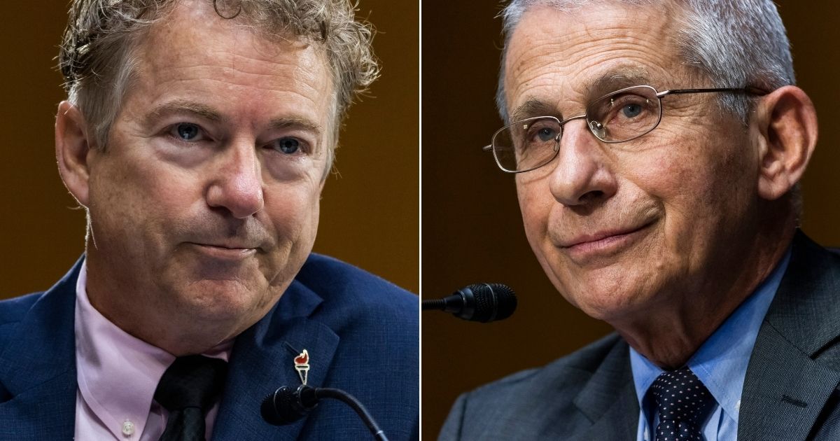Republican Sen. Rand Paul, left, questions Dr. Anthony Fauci, right, director of the National Institute of Allergy and Infectious Diseases, during a hearing on efforts to combat COVID-19 in the Dirksen Senate Office Building in Washington on May 11.