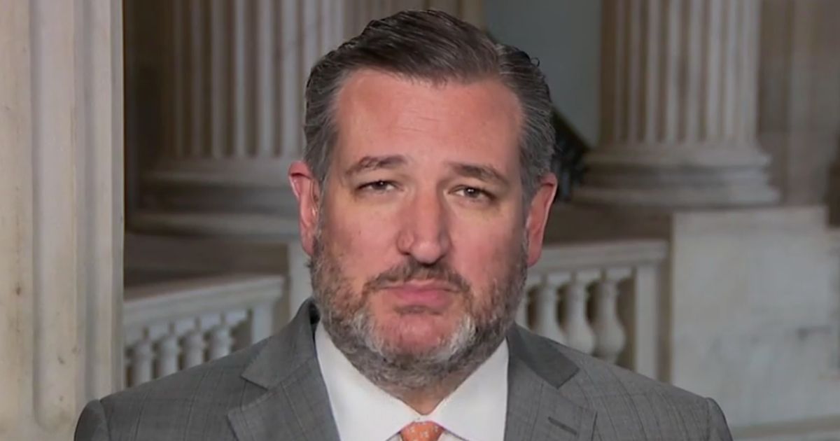 Republican Sen. Ted Cruz of Texas appears on Fox News' "America Reports" on Wednesday.