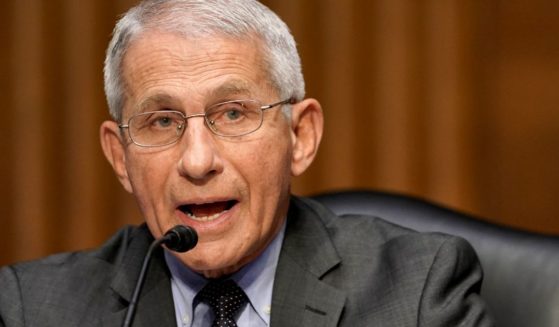 Dr. Anthony Fauci, director of the National Institute of Allergy and Infectious Diseases, appears before a Senate Committee hearing on May 11.