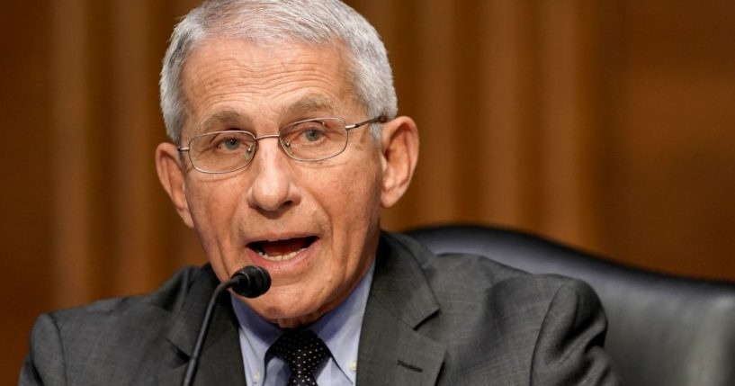 Dr. Anthony Fauci, director of the National Institute of Allergy and Infectious Diseases, appears before a Senate Committee hearing on May 11.