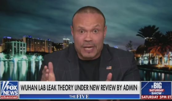 Conservative commentator Dan Bongino appears Friday on Fox News' "The Five."