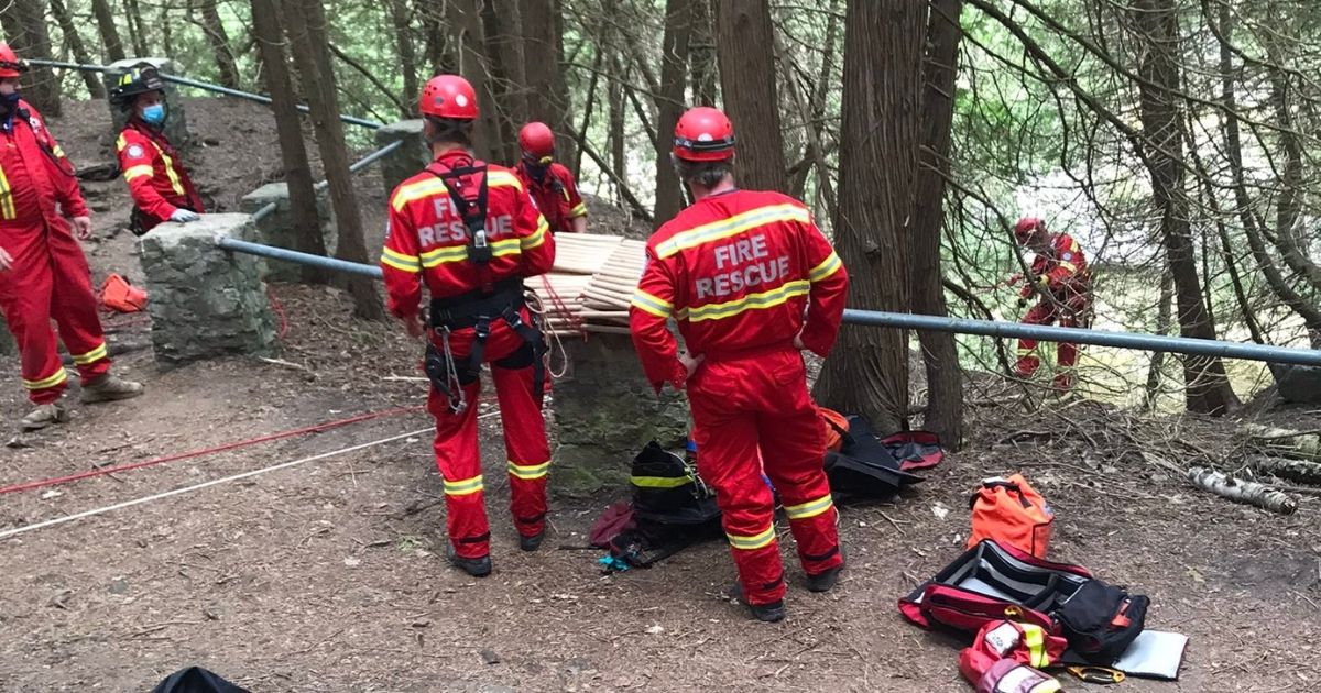 Firefighters perform a rescue of a dog that fell 60 feet into a gorge.