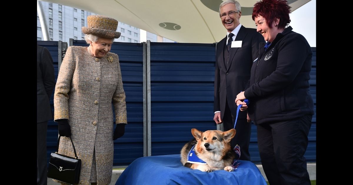 Queen Elizabeth II smiles at a corgi during the opening of a new kennel at Battersea Dogs and Cats Home in London in 2015.