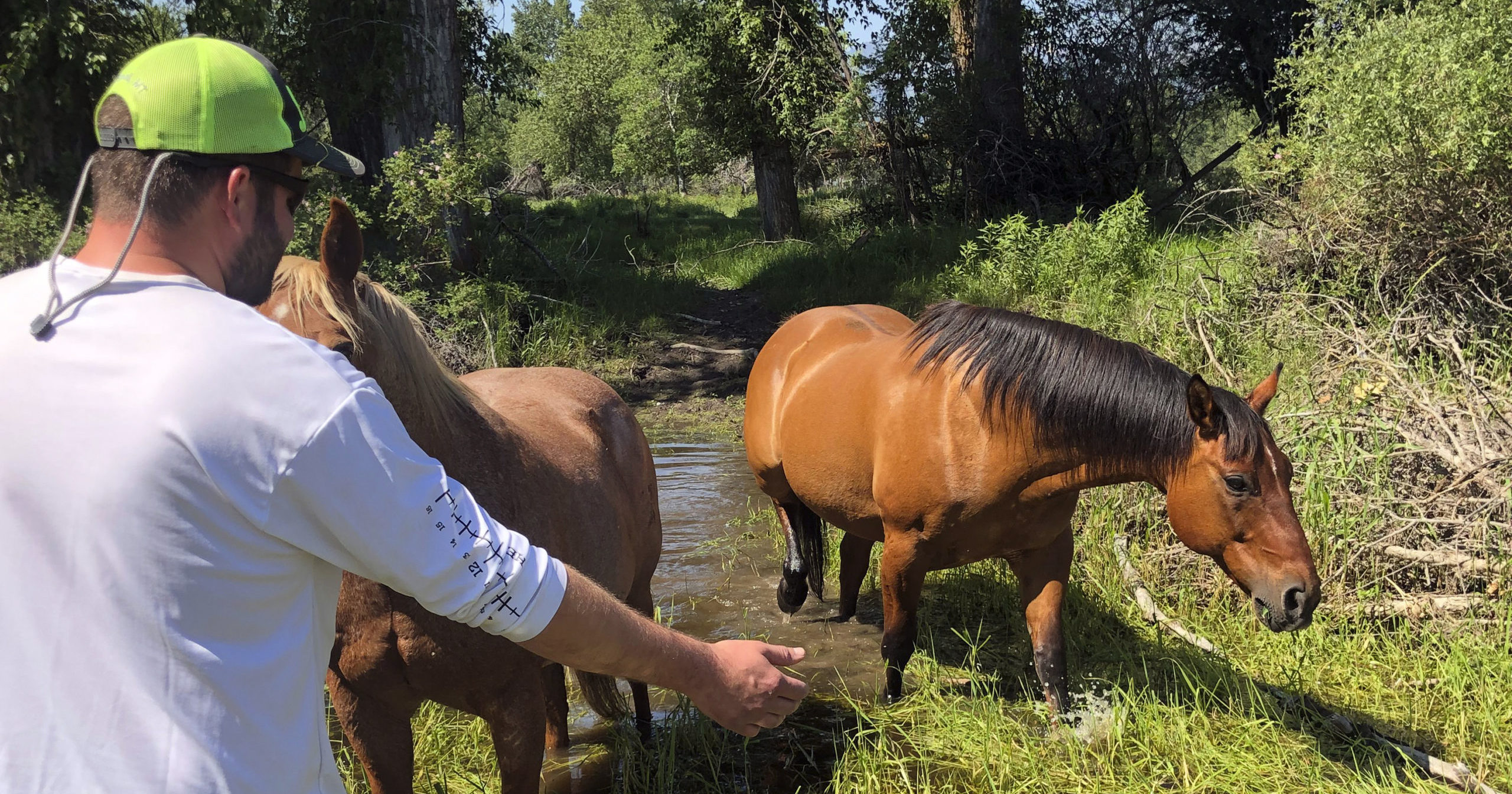 Matthew Eickholt of Hamilton, Montana, greets a horse on Tuesday, two days after he and his wife rescued the horse from drowning in the Bitterroot River north of Victor, Montana.