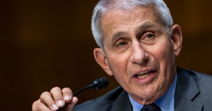 Dr. Anthony Fauci, director of the National Institute of Allergy and Infectious Diseases, testifies before a Senate Health, Education, Labor, and Pensions hearing on May 11, 2021, in Washington, D.C.