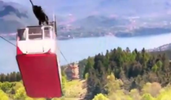 Roughly twenty seconds of terror ended in horrific tragedy as the cable moving a gondola with 15 people above the Italian Alps snapped, causing the cable car to rocket back down the wire, smashing into a pylon and dumping everyone onto the rocks below.