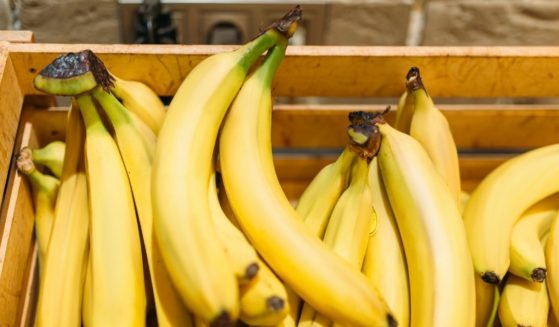 A crate of bananas is pictured in the stock image above.
